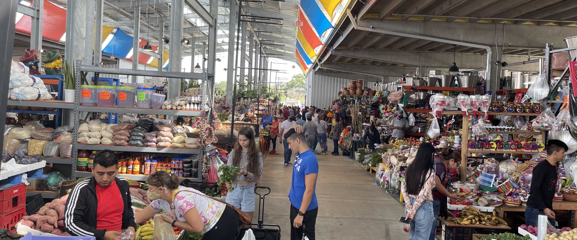 Explore the Best Farmers Markets in Travis County, Texas