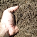 Growing Herbs in Travis County, Texas: What Type of Soil is Best?