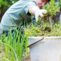 When to Apply Weed Control Products to Your Indoor Herb Garden in Travis County, Texas