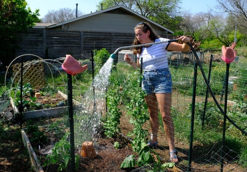 Exploring the Austin Herb Society: Growing Herbs in Travis County, Texas