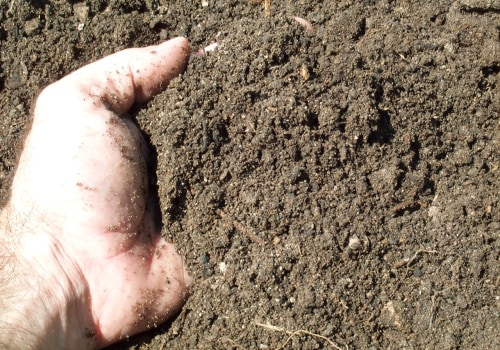 Growing Herbs in Travis County, Texas: What Type of Soil is Best?